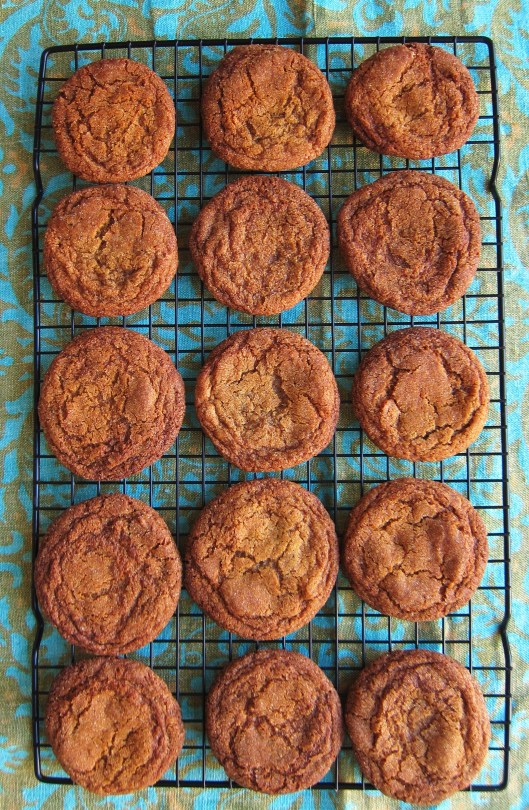 ginger-molasses cookies