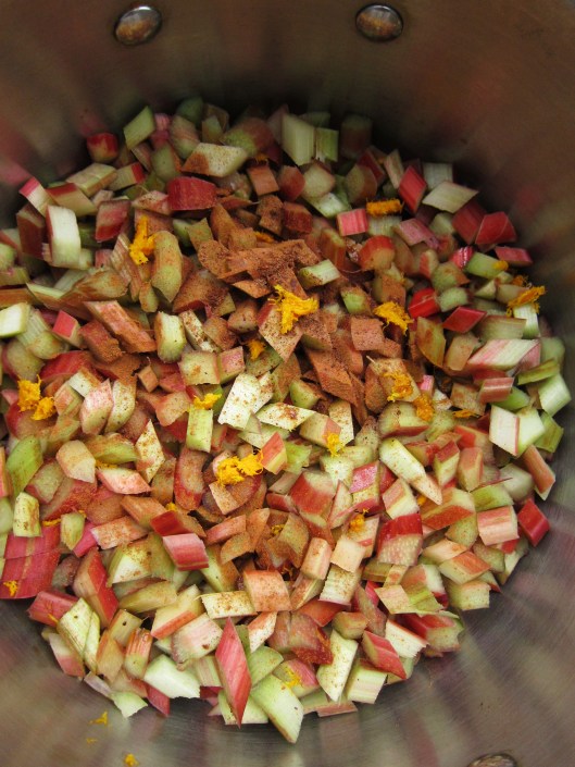 Stewing rhubarb and spices