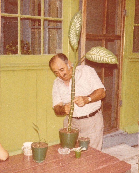 grandpa the gardener