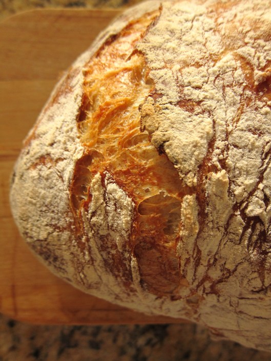 baked miche - detail
