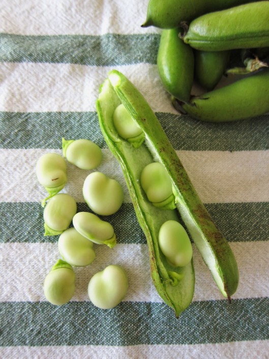 Fava beans