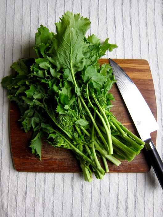 Rapini